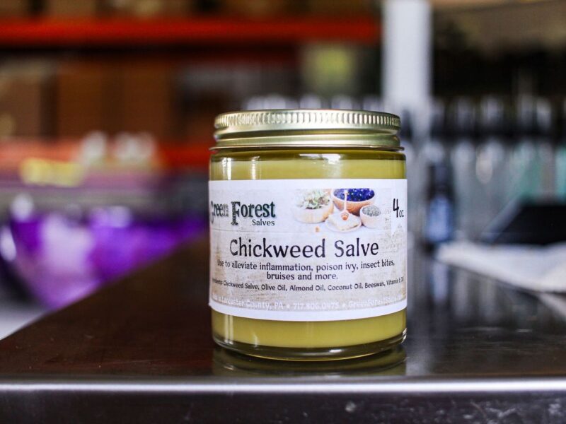 Chickweed Salve: 1oz