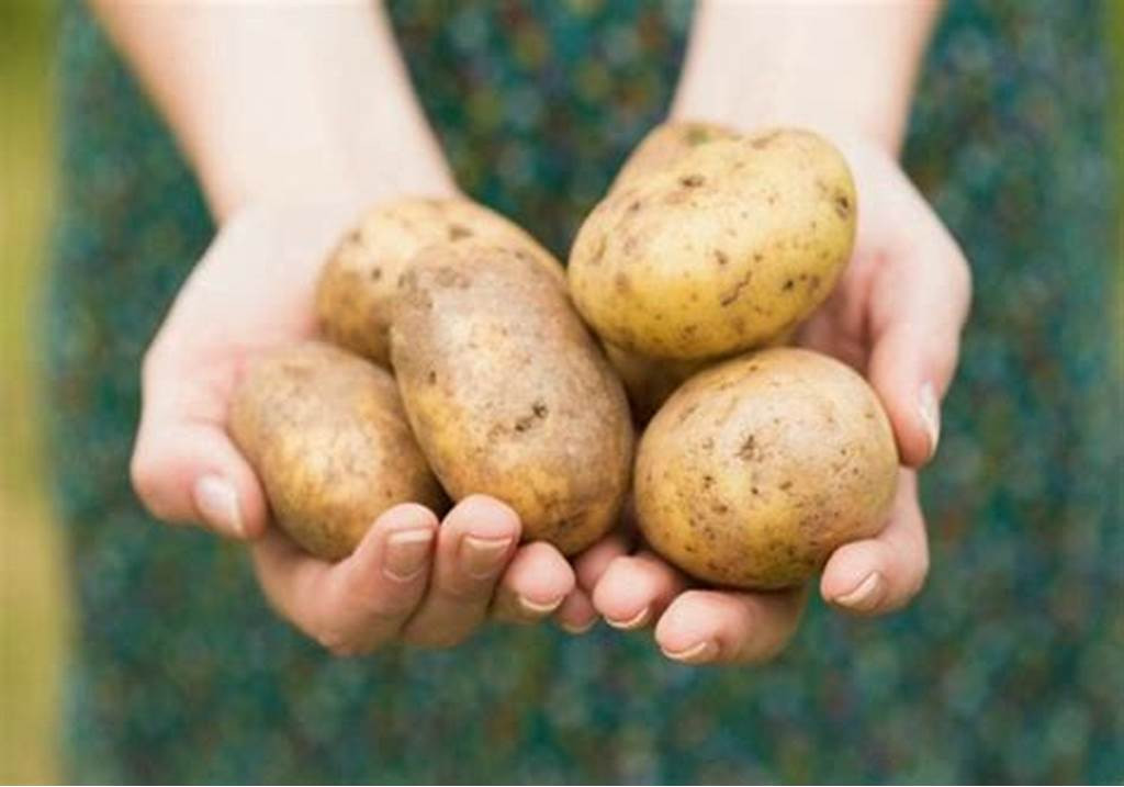 White Potatoes: 2 pounds